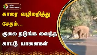 காரை வழிமறித்து சேதம்... குலை நடுங்க வைத்த காட்டு யானைகள் | Kovai | Elephant | PTT