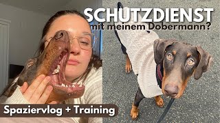 TRAINING with DOBERMANN young dog - walking vlog