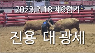 2023.02.18 청도소싸움경기장 제06경기 갑종 진용 / 광세