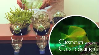 Ecología | Ciencia en lo Cotidiano T1