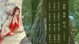 诗经吟诵004B:《周南·樛木》 男声唐调吟诵 竖排繁体字 带拼音 入声字标注版