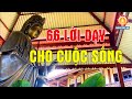 66 Lời Phật Dạy Cho Cuộc Sống Thảnh Thơi An Lành, Bớt Mệt Mỏi Lo Toan