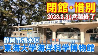 【閉館】【惜別】静岡遠征①　静岡市清水区『東海大学海洋科学博物館』『東海大学自然史博物館』