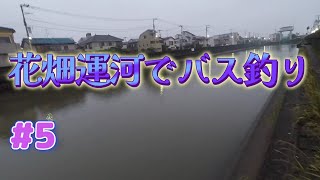 【東京都足立区】花畑運河でバス釣りしてみた【バス釣り】