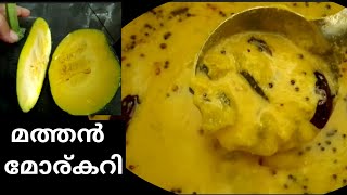 നാടൻ മത്തങ്ങ മോരുകറി | pumpkin moru curry kerala style |  preetha kv