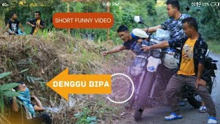 Denggu bipa shot video