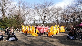 笑゛🎵祭初め  📍犬山踊芸祭 (明治村/三丁目中央広場会場) 📅2021-12-19T10:37