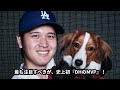 大谷翔平、サヨナラタイムリーの衝撃が全米に！メジャー1位「3.1」で『大谷翔平賞』制定へ 米メディア「オオタニ一人だけ違うスポーツをしている」【海外の反応 ドジャース mlb】