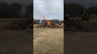 Brush cleanup is messy work but all around necessary and essential for healthy wildlife and safety