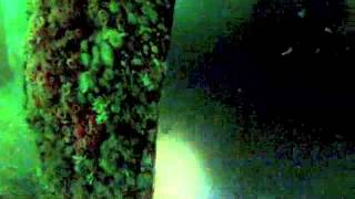 Ruby -E Wreck 9-17-13