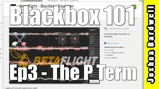 BLACKBOX 101 | Ep3 - What Does the P Term Do?