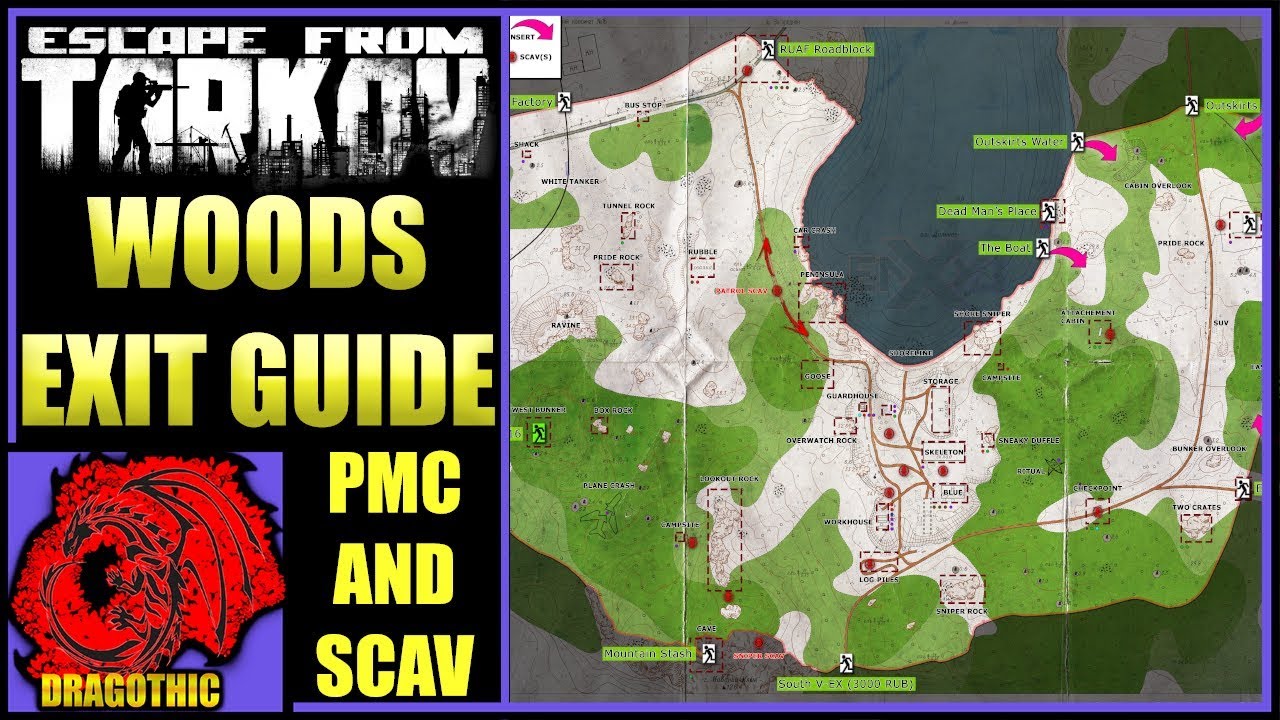 Карта леса в таркове