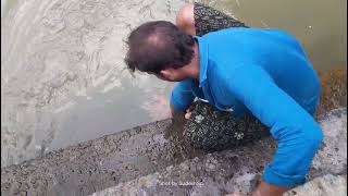 Catching fish with only hands|കൈ മാത്രം ഉപയോഗിച്ച് മീൻ പിടുത്തം മലപ്പുറം കോട്ടപ്പുറം ത്തു നിന്നും