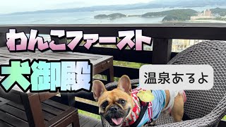 【フレブル】【犬御殿】オーシャンズヴィラの温泉宿に、フレブルみそぽんと旅行【和歌山】| フレンチブルドッグみそ French Bulldog Miso