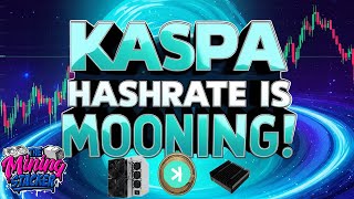 Kaspa Hashrate Is Getting Crazy ! KAS ASIC Mining Is Extremely Difficult and Yield Is Dropping FAST