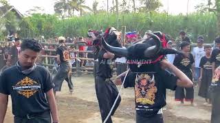 KALAPAN SATRIO LEMBU SURO KEMBANG feat SIBOLANG AUDIO