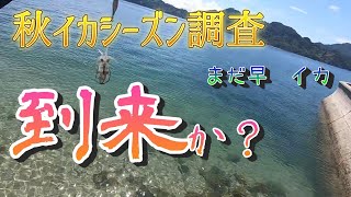 【エギング】秋イカ調査に行ってみた？おまけも