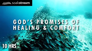 God's Promises of Healing \u0026 Comfort - 10 Hour Scripture Soaking With God's Word