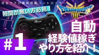 【ドラクエ3リメイク】自動経験値稼ぎの方法を紹介！＃１、レベル上げの時間が無い方必見！、低レベルから可能！