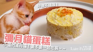 小貓滿月囉！一起吃飯飯～彌月貓蛋糕！【貓主食食譜】好味貓廚房EP102