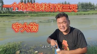 三天连续打窝能否出大鱼，连杰下午四点出发野钓，晚餐吃一元生蚝