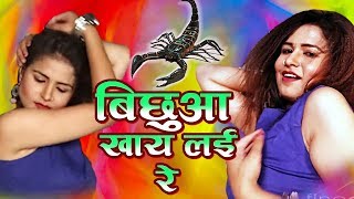 रामधन गुर्जर का धमाकेदार रसिया || बिछुआ खाय लई रे || Ramdhan Gurjar | New Rasiya  2022