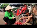 Orphan Boy - Life is difficult, harvesting dragon fruit and bring it to the market to sell