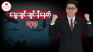 သွေးချင်းချင်းနီနေတဲ့နေရာ...