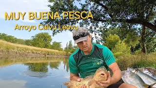 Entretenida pesca en arroyo de Azul. Pesca de Carpas y dentudos...