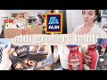 ALDI HAUL NOVEMBER 2020 | FAMILY OF 4 | KAYLA BUELL