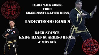 Taekwondo Basics - Back Stance   Knife Hand Guarding Block