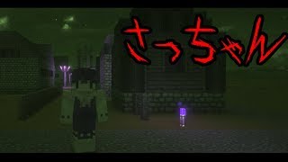 マイクラ 都市伝説 コンビニのトイレの秘密