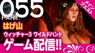 【初めてのWitcher3 WILD HUNT配信】part.55 --はげ山--