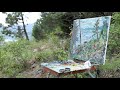 Plein Air Painting: Flathead Lake Morning