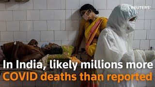 India may have 4.9 million excess pandemic deaths