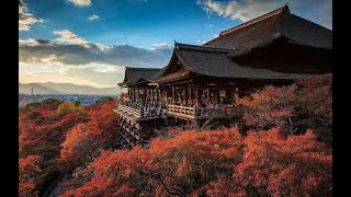 日本的秋天 就是枫叶 最漂亮的 季节 冬天如此美丽 Beautiful japanese autumn scenery