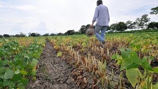 U.N. Climate Panel Issues Dire Warning of Threat to Global Food Supply, Calls For Action (1/2)