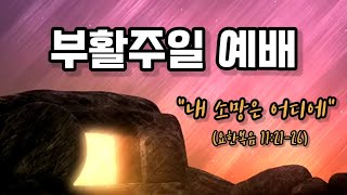 [봉신교회] 2021-04-04 부활주일 예배 강성희 전도사ㅣ내 소망은 어디에 (요 11:21-26)