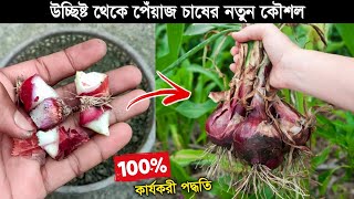 টবে পেঁয়াজ চাষের নতুন কৌশল | পেঁয়াজ চাষ পদ্ধতি -Grow Onion