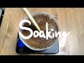 Soaking | Ethiopia Guji Hambela