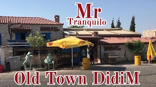 Didim Antik Kenti | Old Town Walk Tour | Ancient City Didim