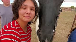 TTA Students visit Equine Elegance