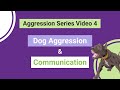 Dog Aggression and Trigger Stacking - Dog Aggression Series Video 4