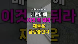 베란다에 꼭 두세요. 재물운 쑥쑥 올라갑니다.