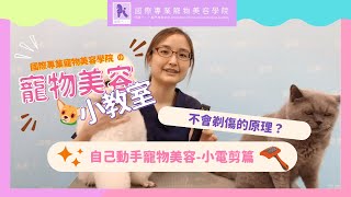 寵物美容小教室之【親自剃腳底毛】-小電剪篇:  Miss  Tang 示範😍讓貓咪😺和Wow Wow🐶❤️交出手掌腳掌剃腳底毛，剃了後佢地行會被躚親，又不會藏污穢野係腳墊😍！！！