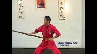 Sam Chan Wing Chun Instructional DVD
