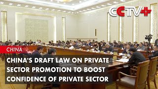 China's Draft Law on Private Sector Promotion to Boost Confidence of Private Sector