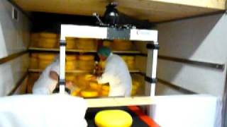 Loading Cheese with Vaculex ParceLift