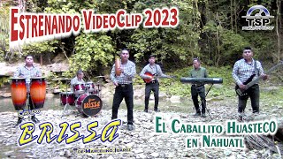 El Caballito Huasteco (Ver Nahuatl) - Grupo Brissa de Marcelino Juarez (VideoClip Oficial 2023)