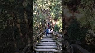 大坑4號步道，小百岳頭嵙山（正片主頻道觀賞） #捌玖零夫妻 #shorts #大坑步道